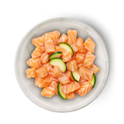 Product image of TERRA FELIS Adult Cat Complementary Salmon Famousse 80g - Pets Villa. 