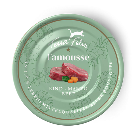 Front image of TERRA FELIS Adult Cat Complete Beef Famousse 80g - Pets Villa. 