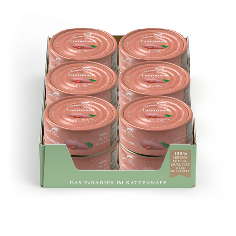 Multipack image of TERRA FELIS Adult Cat Complete Chicken Famousse 80g - Pets Villa. 