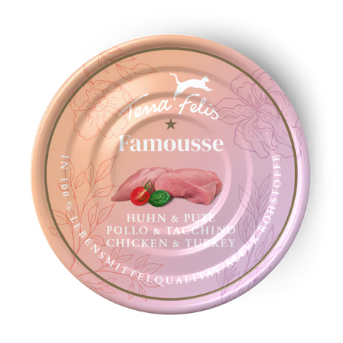 Front image of TERRA FELIS Adult Cat Complete Chicken & Turkey Famousse 80g - Pets Villa. 