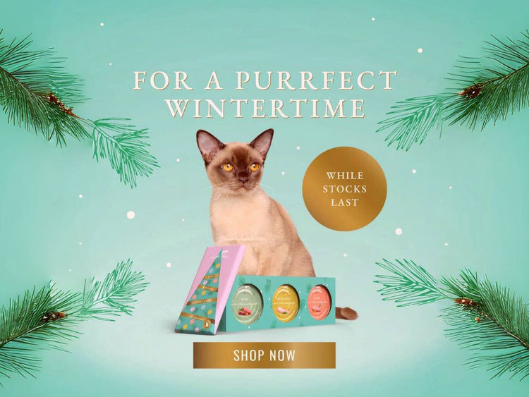 Pets Villa Best Selling Pet Products UK Pet's Daily Needs