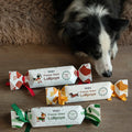 Product image of WAITA Freeze-Dried Christmas Cracker for Cats and Dogs - Pets Villa. 