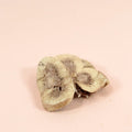 Product image of WAITA Freeze Dried Beef Kidney 50g - Pets Villa. 