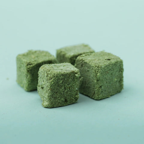 Product image of WAITA Freeze Dried Cat Grass Cubes 50g - Pets Villa. 