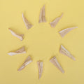 Product image of WAITA Freeze Dried Chicken Cartilage 40g - Pets Villa. 