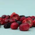 Product image of WAITA Freeze Dried Mixed Berries 25g - Pets Villa. 