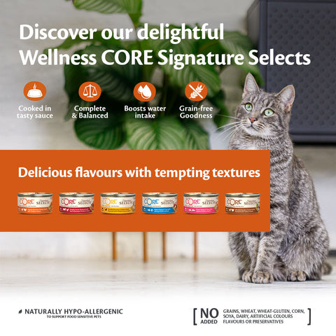 Flavours of WELLNESS CORE Adult Cat Tuna Flake Selection Multipack 8x79g - Pets Villa. 