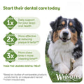 Image of the advantages of WHIMZEES Dog Daily Dental Ricebone Treats 4pcs - Pets Villa. 