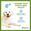 Health advantages image of WHIMZEES Puppy Daily Dental Treats XS/S 28 Treats - Pets Villa. 