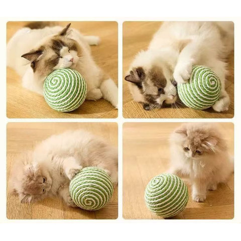 Images of cats playing with White and Green Sisal Rattle Cat Ball 10cm - Pets Villa.