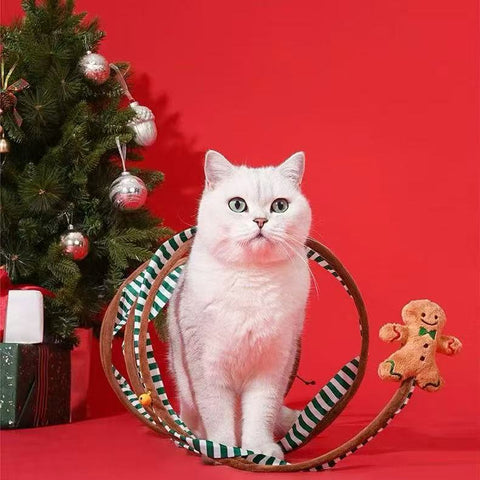 Cat iin ZEZE Christmas Circle Cat Tunnel - Pets Villa.
