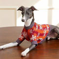 Image of a dog with ZEZE Christmas Snowflake Pet Knitwear - Pets Villa.