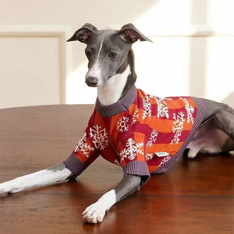 Image of a dog with ZEZE Christmas Snowflake Pet Knitwear - Pets Villa.