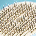 Close up of ZEZE Circle Pet Slicker Comb with Lotus Essence comb - Pets Villa. 