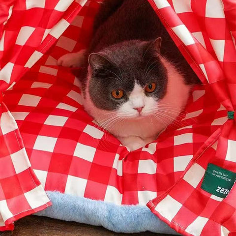 Close up image of cat in ZEZE Red Christmas Pet Tent - Pets Villa.