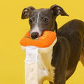 Image of dog holding ZEZE Rich Mahjong Enrichment Dog Toy  - Pets Villa. 