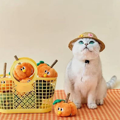 Product image of ZEZE Silvervine Stick and Crinkle Paper Pumpkin Cat Toy - Pets Villa. 