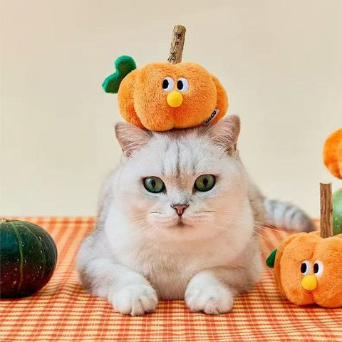 Product image of ZEZE Silvervine Stick and Crinkle Paper Pumpkin Cat Toy  - Pets Villa. 