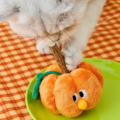 Close up image of ZEZE Silvervine Stick and Crinkle Paper Pumpkin Cat Toy - Pets Villa. 