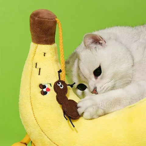 Image of cat playing with ant from ZEZE Softer Banana Pet Pillow - Pets Villa. 