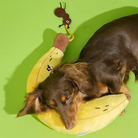Image of dog on ZEZE Softer Banana Pet Pillow - Pets Villa.