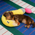 Image of a dog resting on ZEZE Softer Pencil Pet Pillow - Pets Villa. 