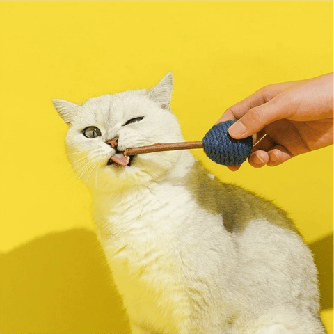 ZEZE Sweet Candy Silvervine Cat Toy (Random) - product image. This is a product of Pets Villa.