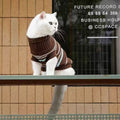 Product image of ZEZE Warmth Striped Pet Knitted Sweater - Pets Villa. 