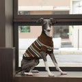Product image of ZEZE Warmth Striped Pet Knitted Sweater - Pets Villa. 