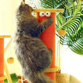 Image close up of a cat at the top of Zesty Orange Cat Scratcher - Pets Villa. 
