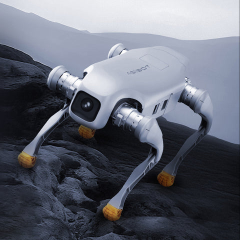 [Pre-Order] AGIBOT D1 Series All-Round Quadruped Robot