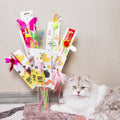 Pink & Purple Golden Fish Cat Teaser – AMY&CAROL Retractable Wand Toy
