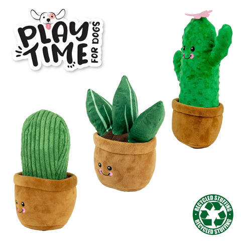 ANCOL Cuddley Cactus (Random) - Pets Villa