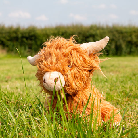 ANCOL Fergus the Highland Cow Plush Toy – Soft, Durable & Squeaky