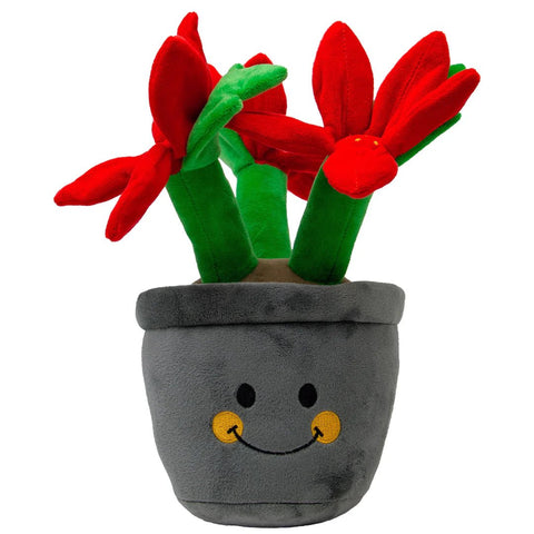 ANCOL Henrietta Poinsettia Christmas Dog Toy – Festive Flower Plush for Play