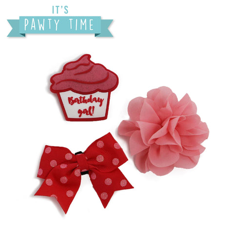ANCOL It's Pawty Time Collar Accessories for Pets - Pets Villa