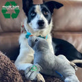 ANCOL Made From Seal Plush Dog Toy – Eco-Friendly & Cuddly
