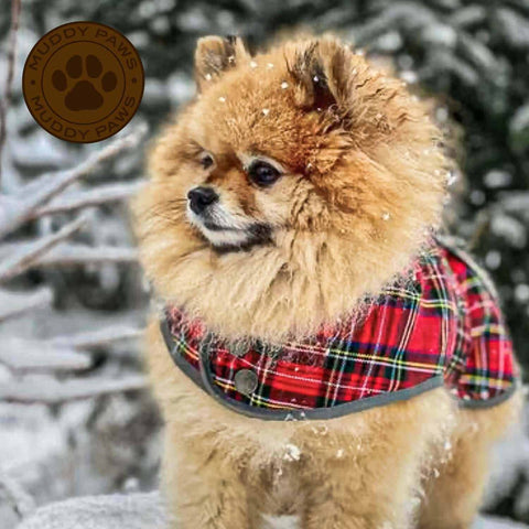 ANCOL Muddy Paws Red Tartan Dog Coat - Pets Villa