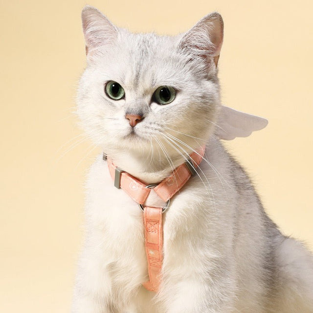 Angel Wings Harness and Lead | Pets Villa