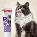 BEAPHAR Hairball Paste for Cats 100g - Pets Villa