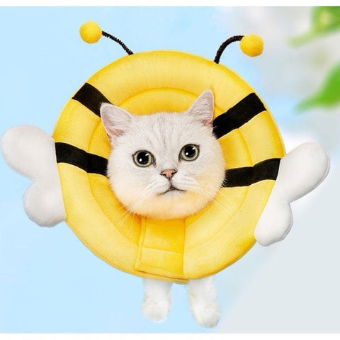 Bee Design Pet Elizabethan collar - Pets Villa