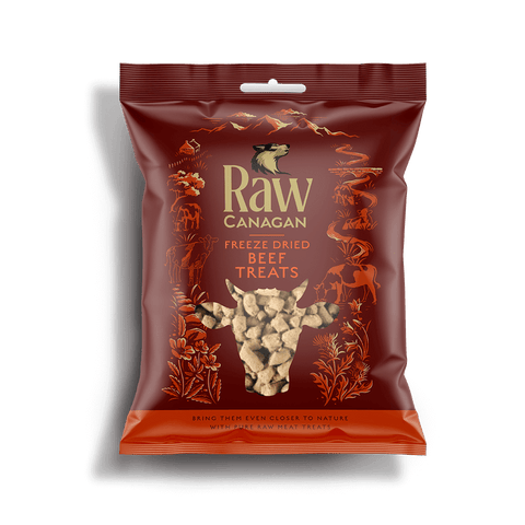 CANAGAN Raw Freeze Dried Beef Dog Treats 20g - Pets Villa