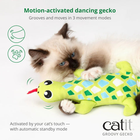 CATIT Groovy Gecko Automatic Cat Toy - Pets Villa