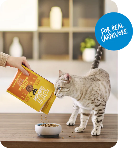 Schesir Cat Dry Food 15%off