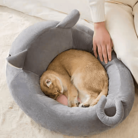 Cute Animal Pet Bed - Pets Villa