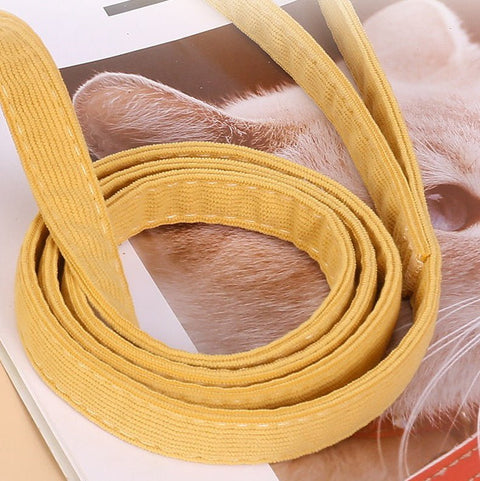 Cute Bee Harness and Lead - Pets Villa