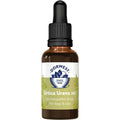 DORWEST Urtica Urens 30C - 15ml Liquid - Pets Villa