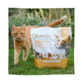 EDEN Feline Feast Turkey and Chicken 1.5kg - Pets Villa