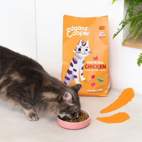 EDGARD & COOPER Cat Adult Cat Fresh Chicken Dry Food - Pets Villa