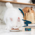 EDGARD & COOPER Cat Tuna and Squid Fillets Complementary Food - Pets Villa
